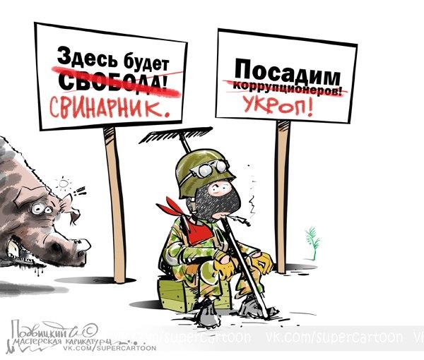 Подвицкий.Карикатура - Достижения Майдана!